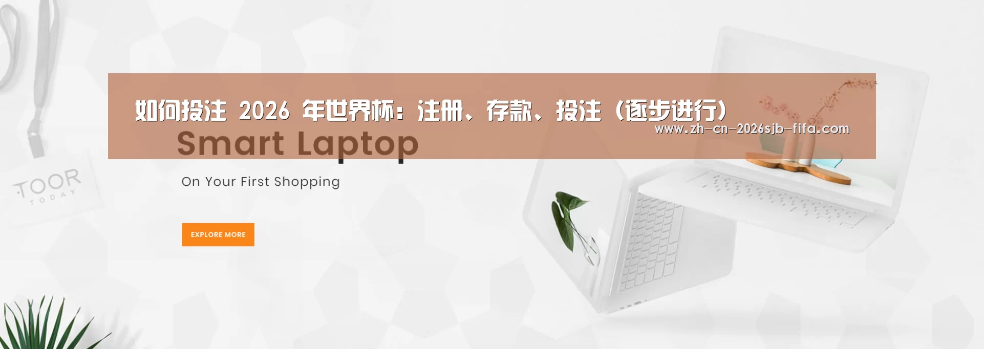 某某网络科技有限公司