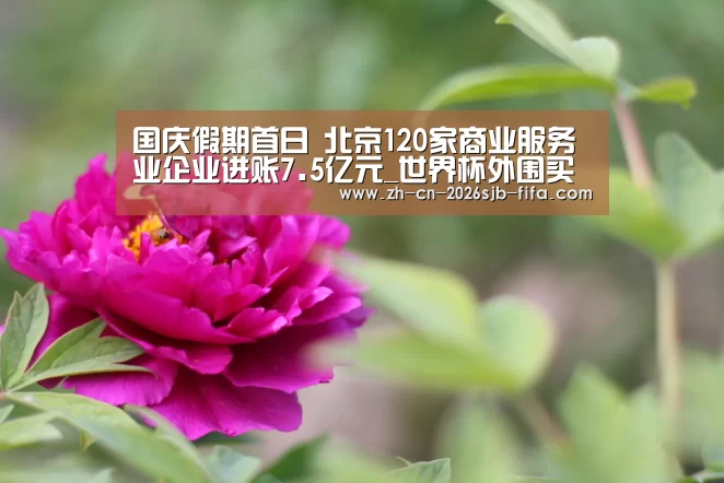 国庆假期首日 北京120家商业服务业企业进账7.5亿元_世界杯外围买球(图3) 世界杯买球网站