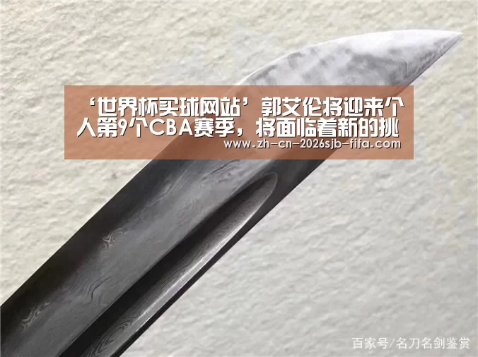 世界杯买球网站