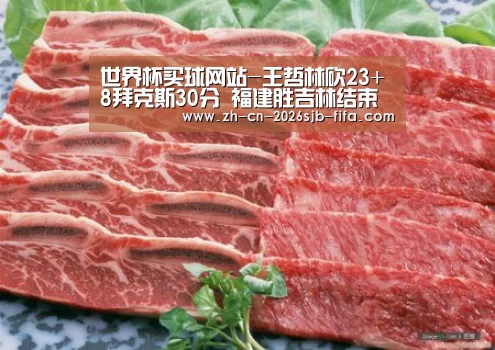 2026世界杯